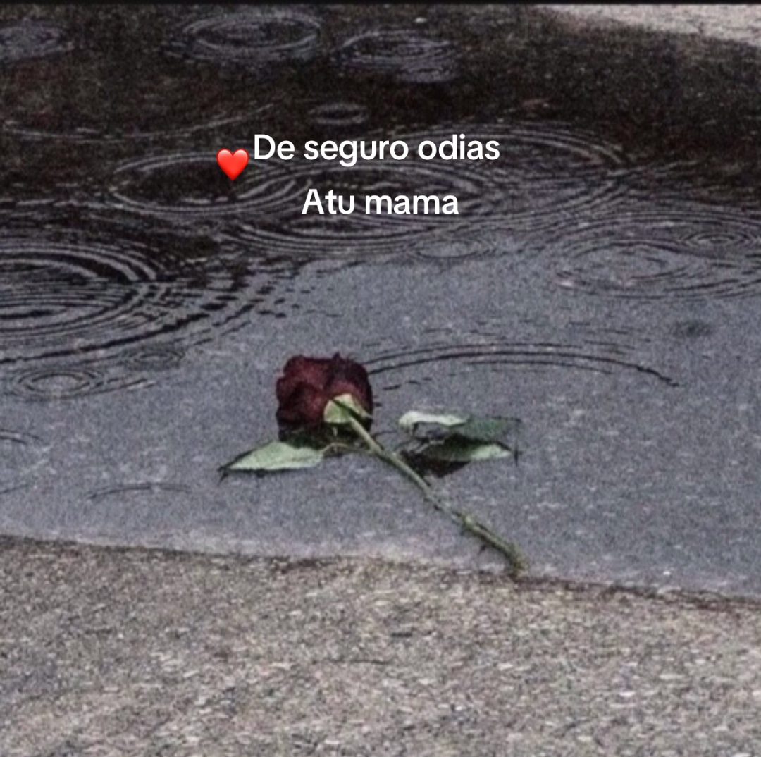 @Cami💜🤞🏻😊🤌🏻