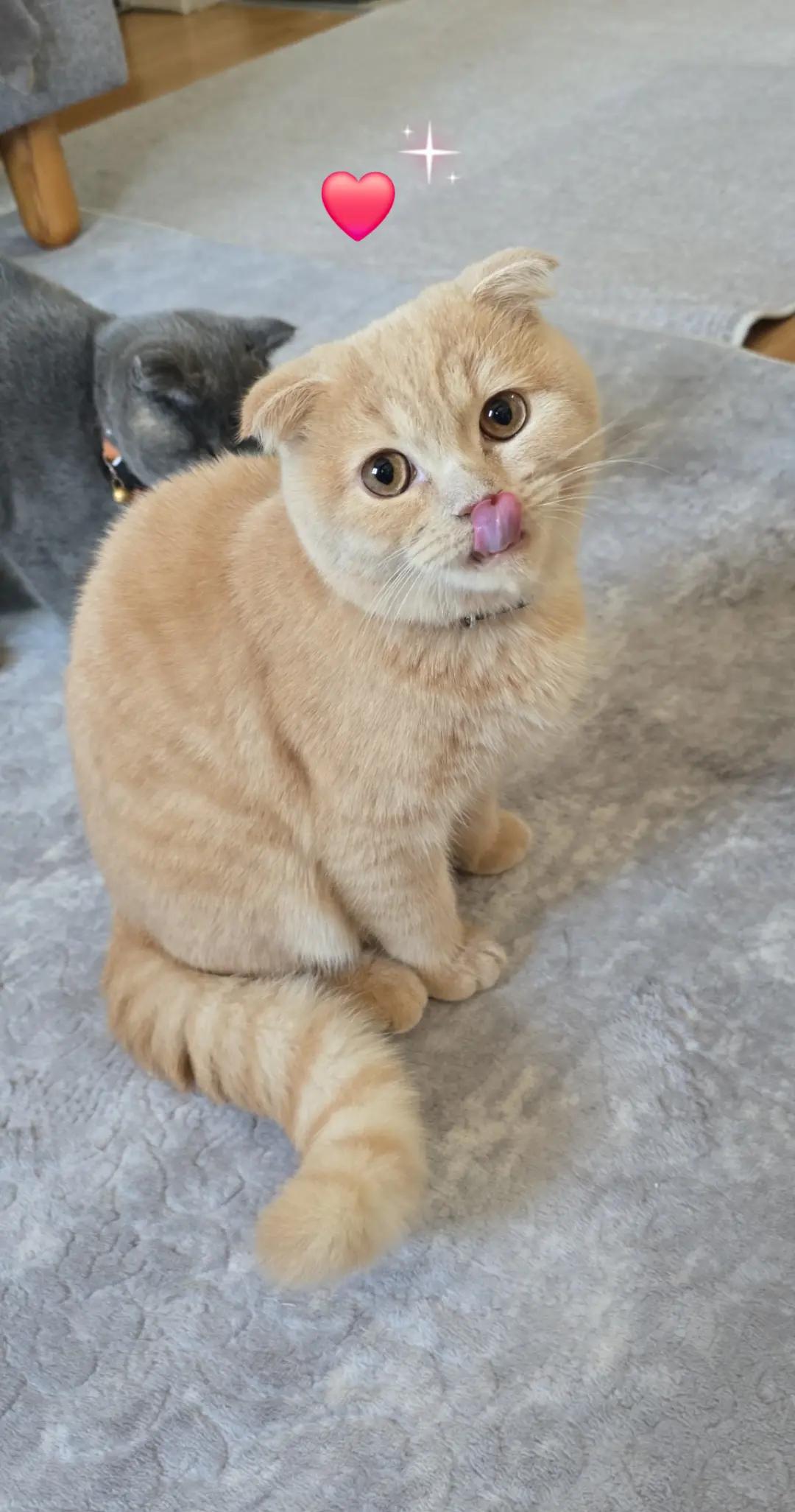 @Kader &Ccedil;i&ccedil;ek&ccedil;i