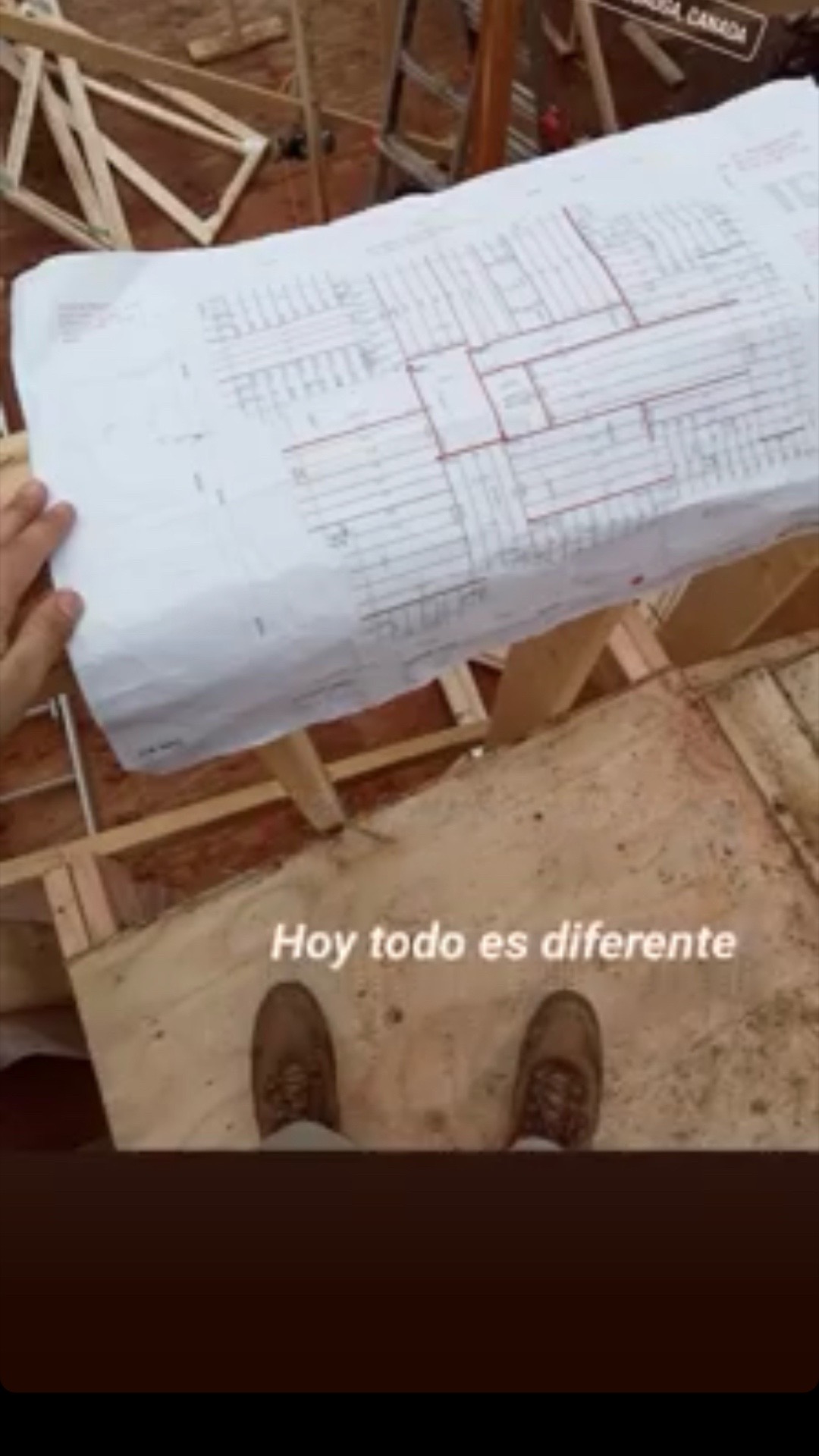 @Tiburonsín