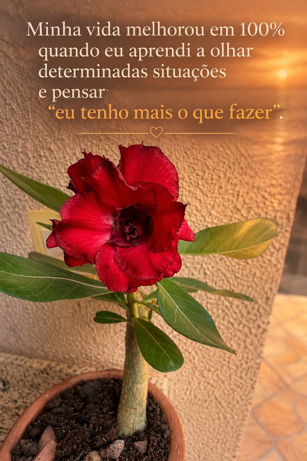 @souzamar