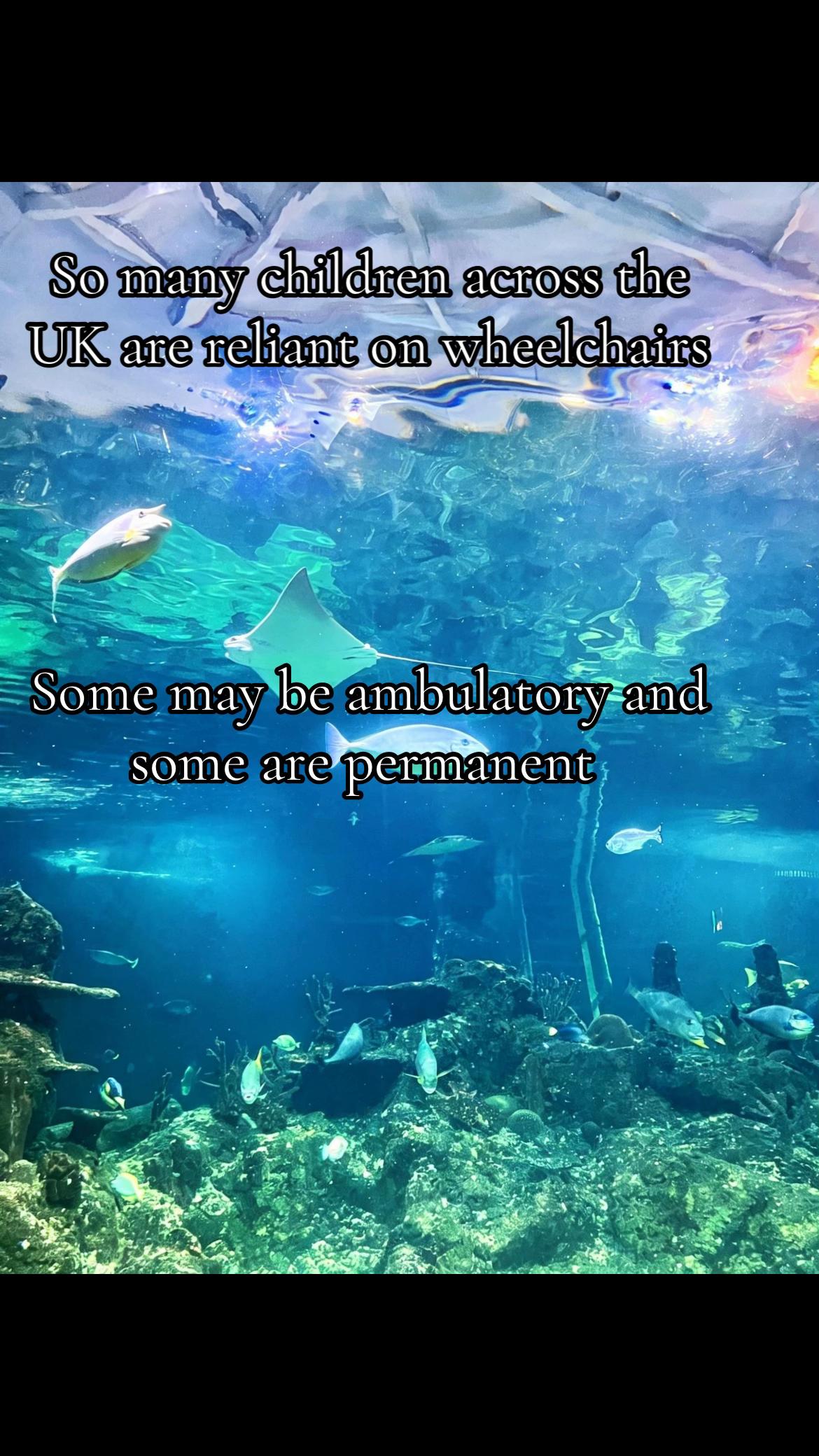 @𝓛𝓲𝓵𝔂 𝓪𝓷𝓷