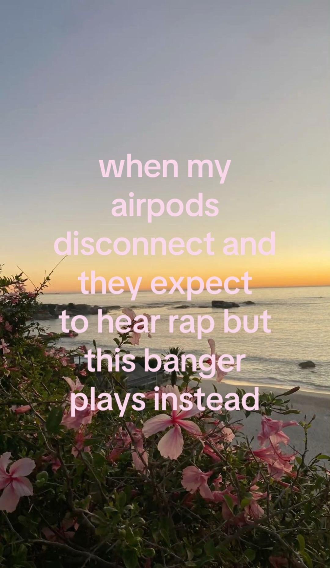 @meowwouch