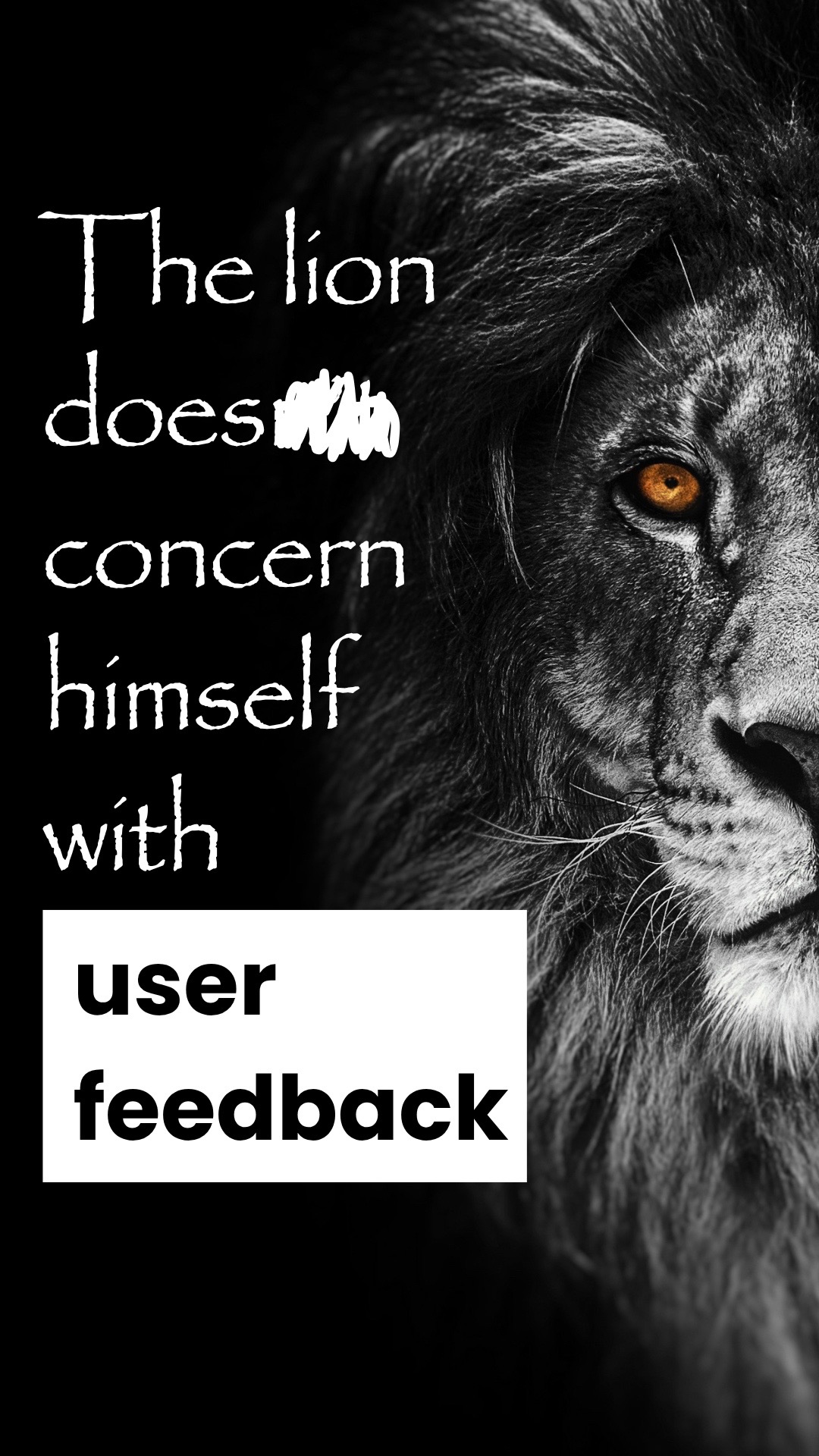 @Brave Browser
