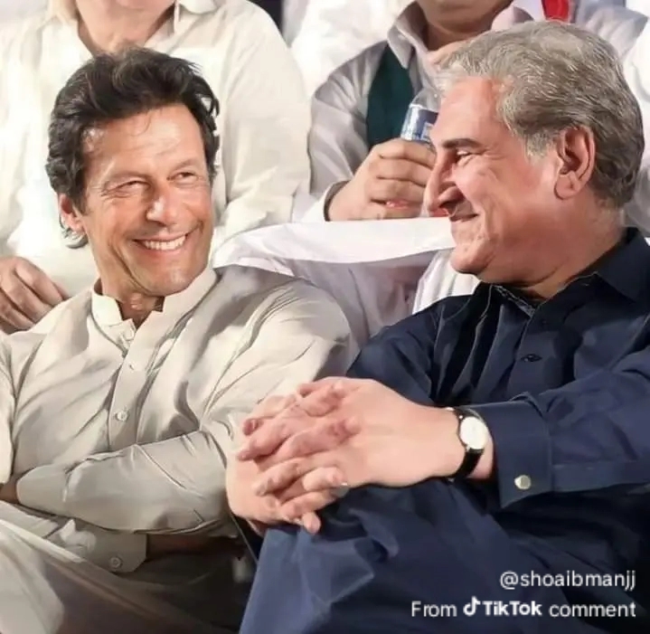 @M Farooq531
