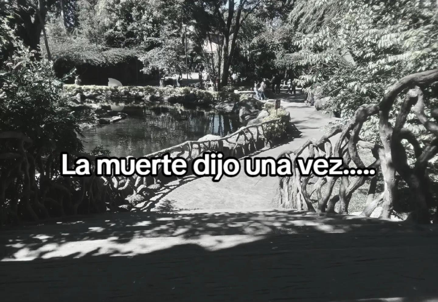 @Ale 😍❤️🩹