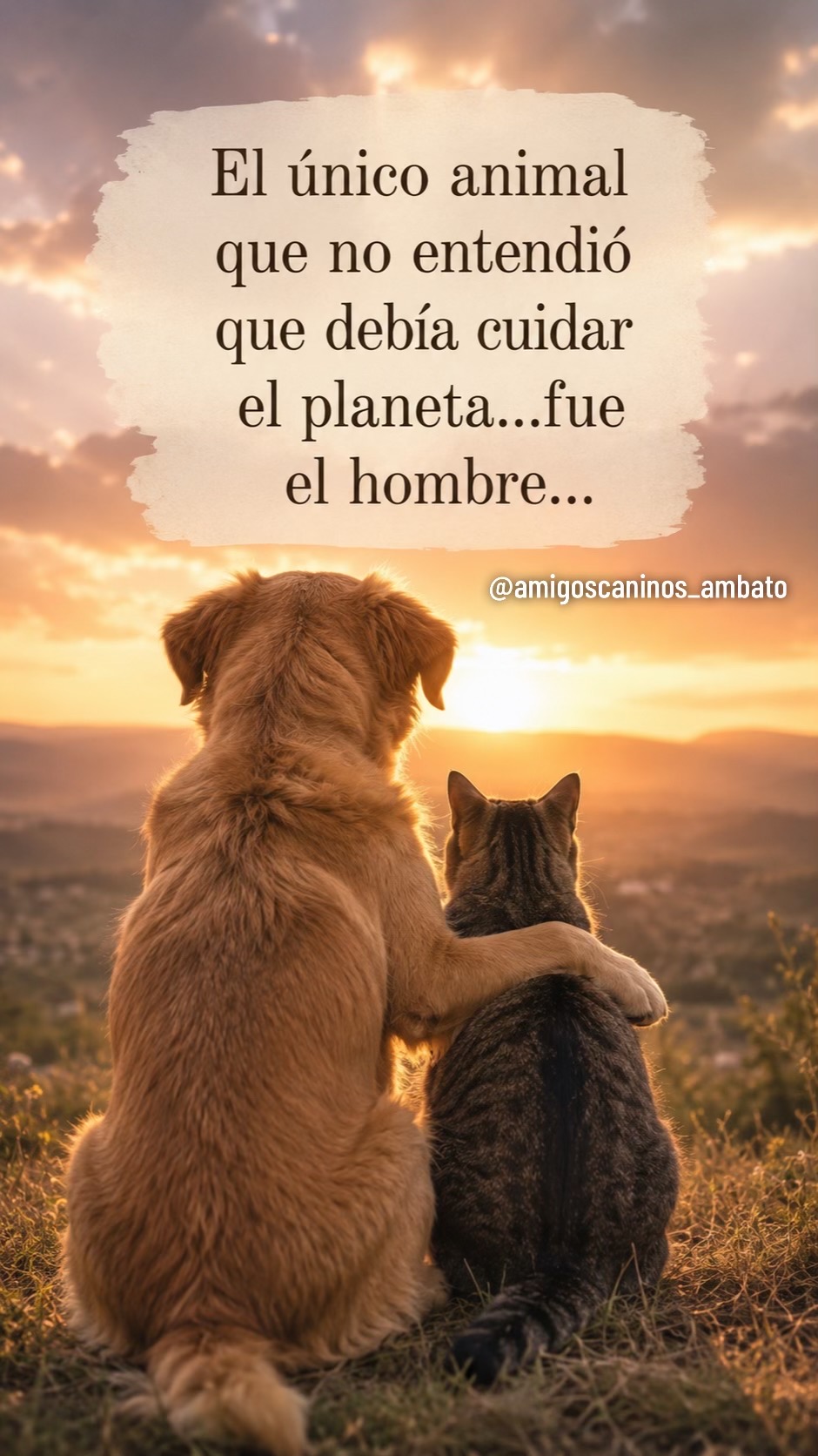 @Amigoscaninos_Ambato