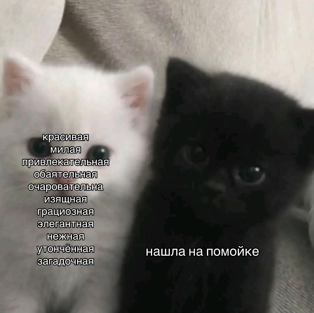 @секайвампира