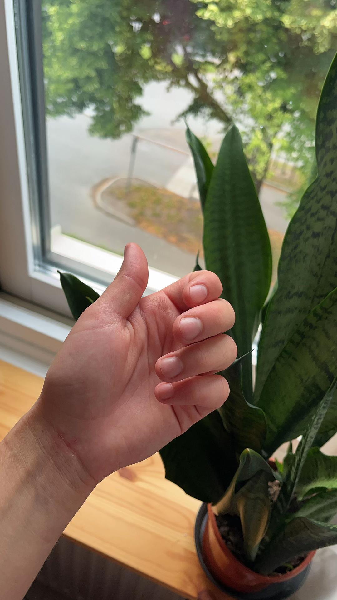 @PotatoGirl