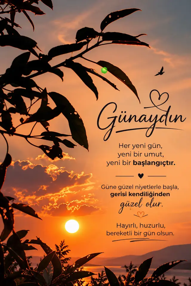 @Gülay cengiz