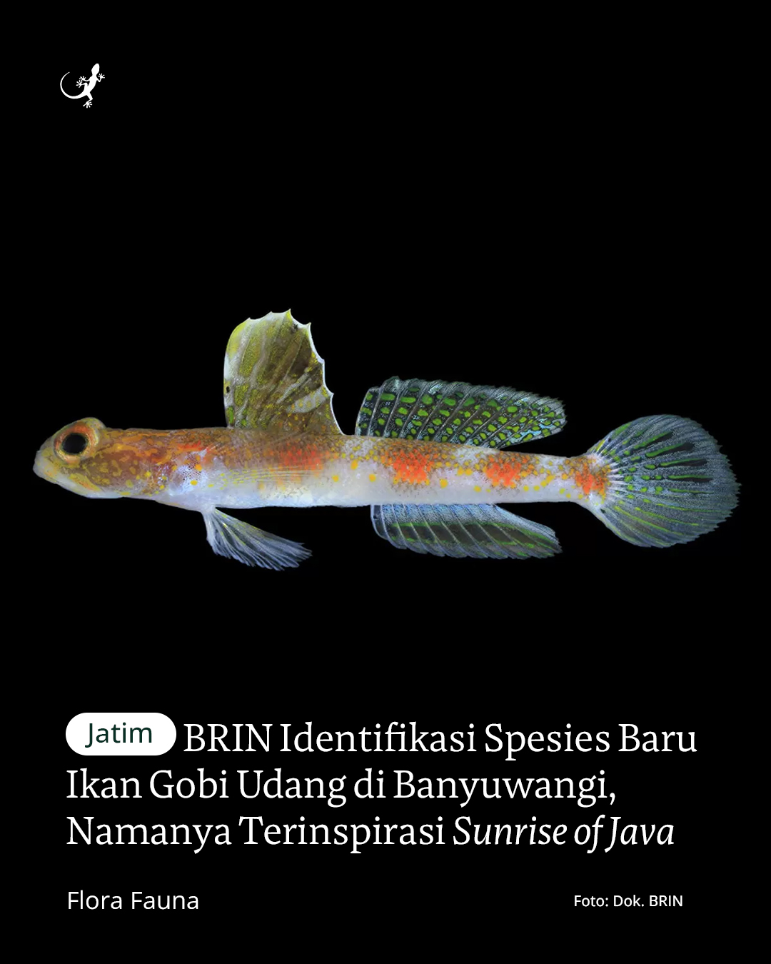 @mongabayindonesia