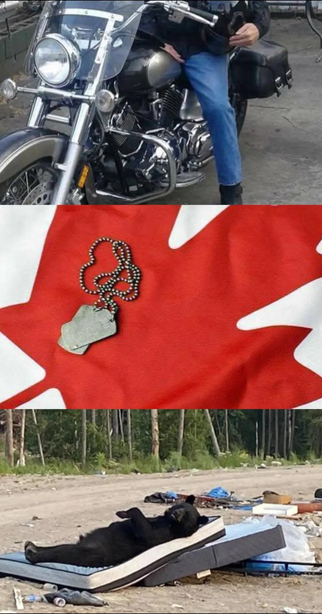 @JJ 🇨🇦🇨🇦🇨🇦