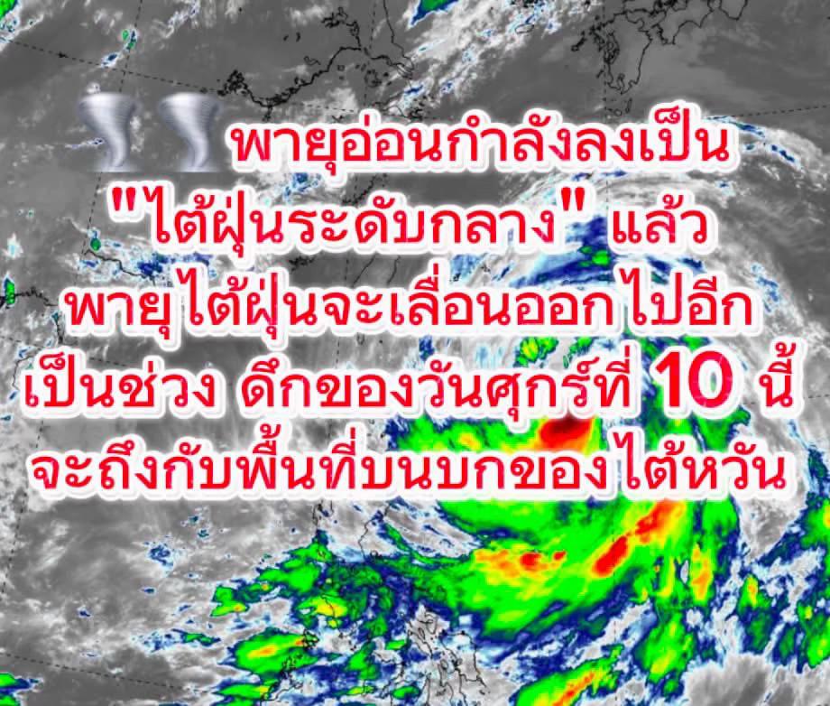 @มิ้นท์ น๊าาเนี่ย🌻🤍
