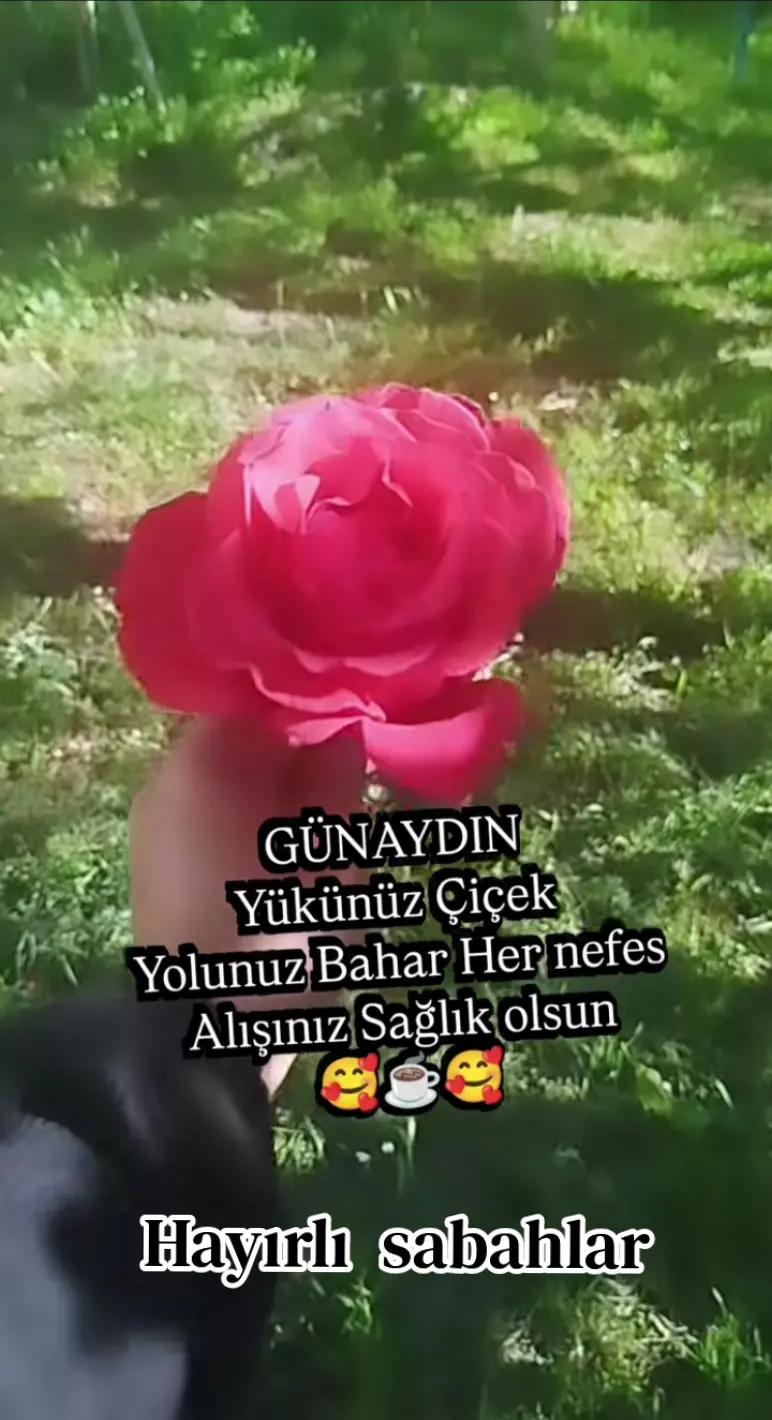 @Serpil Güneş
