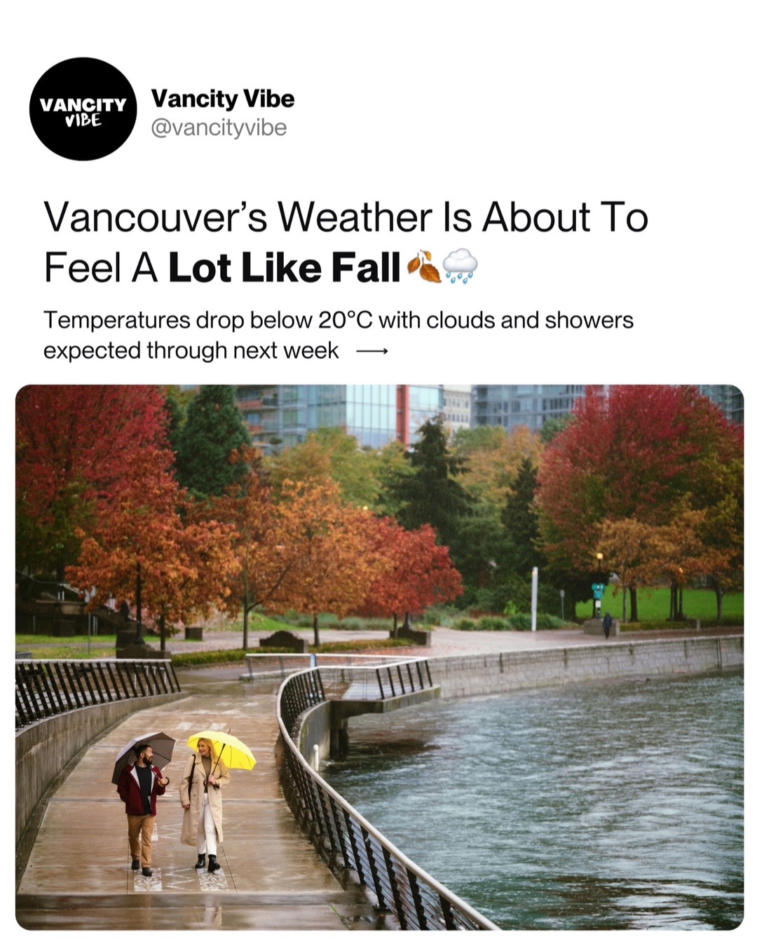 @vancityvibe