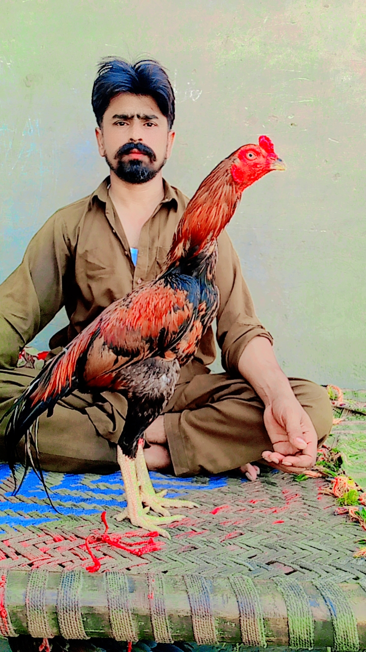@Badshah Sahu