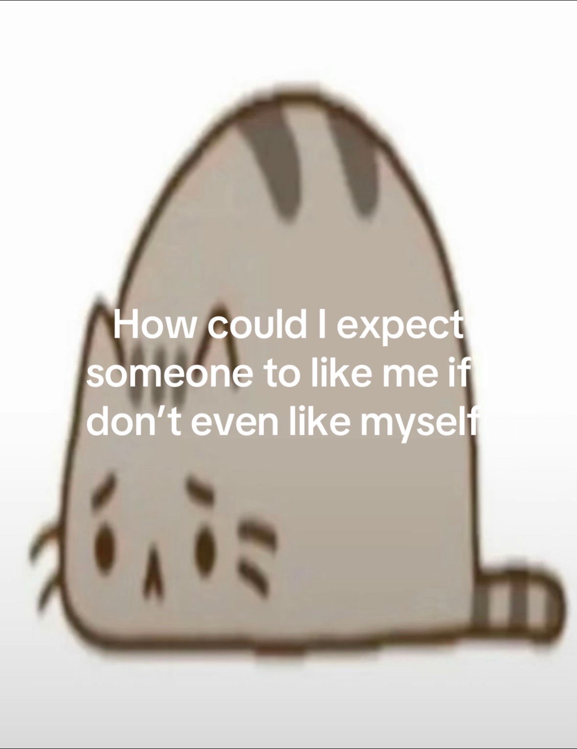 @kitty