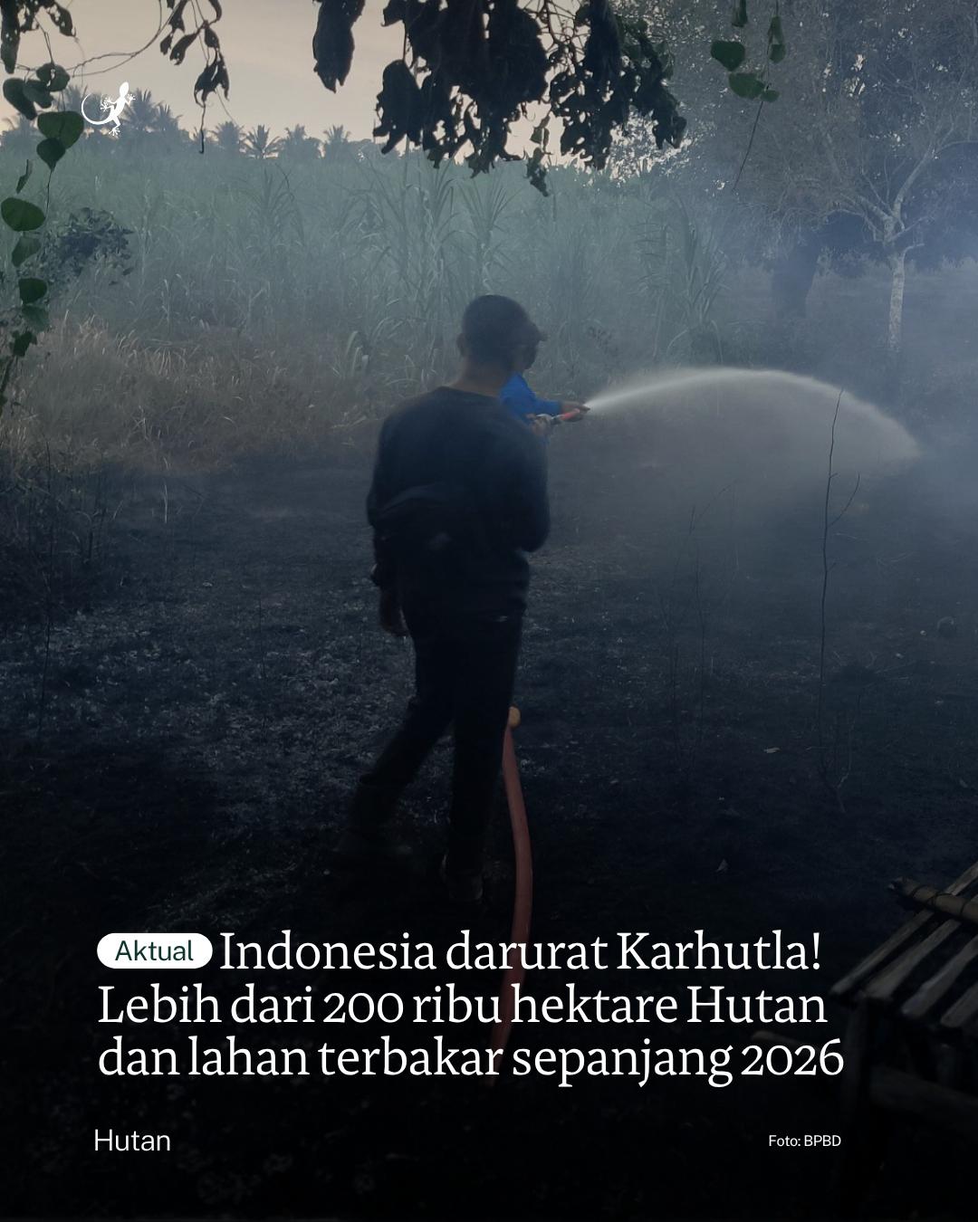 @mongabayindonesia