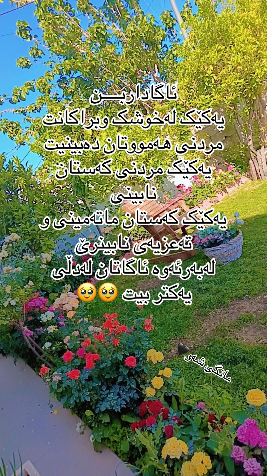 @𝐌α𐓣𝗀e 𝗌ɦαω🖤🌚