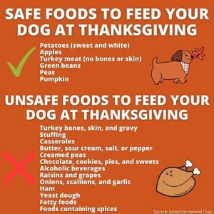 @The Dog Mom