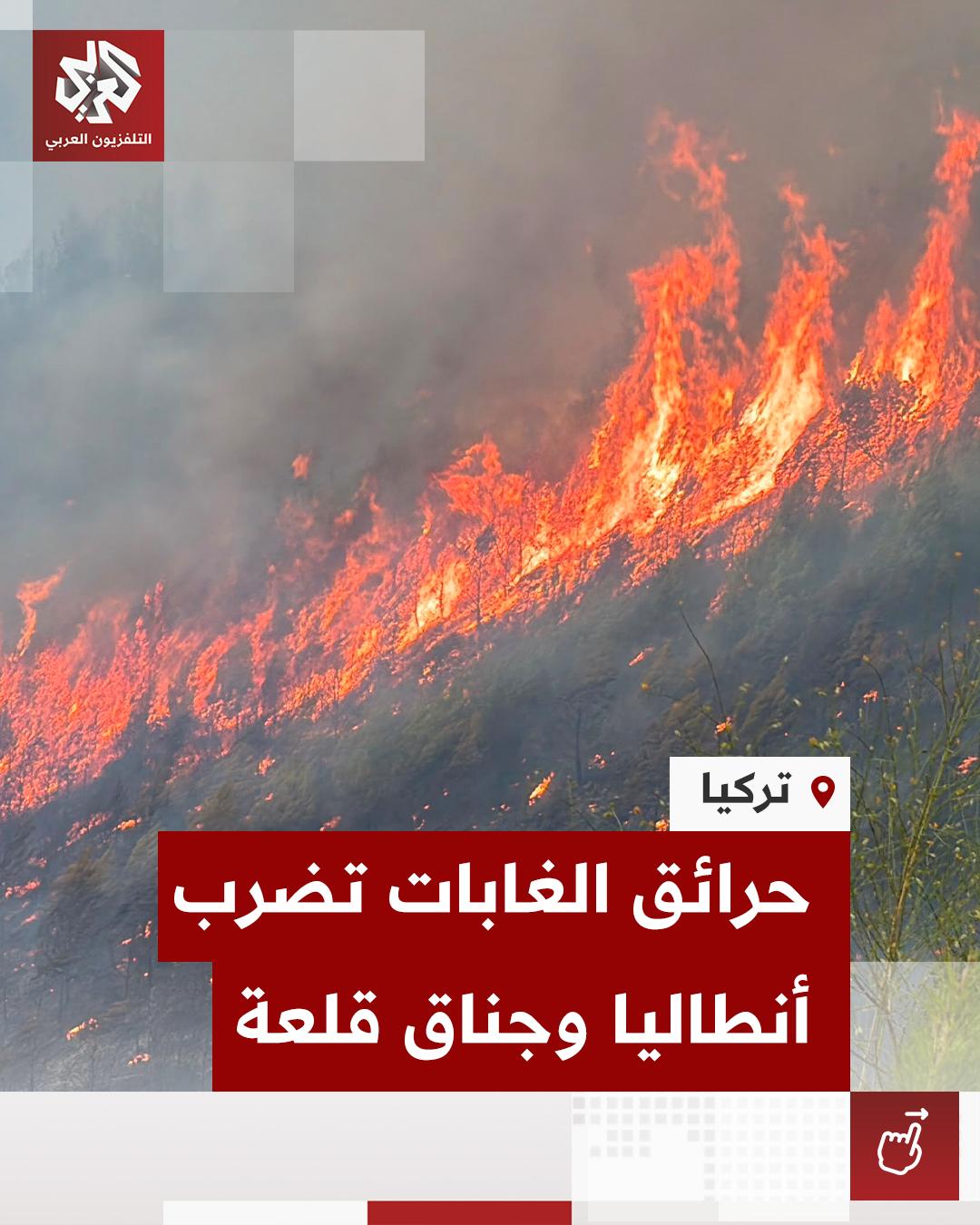 @التلفزيون العربي