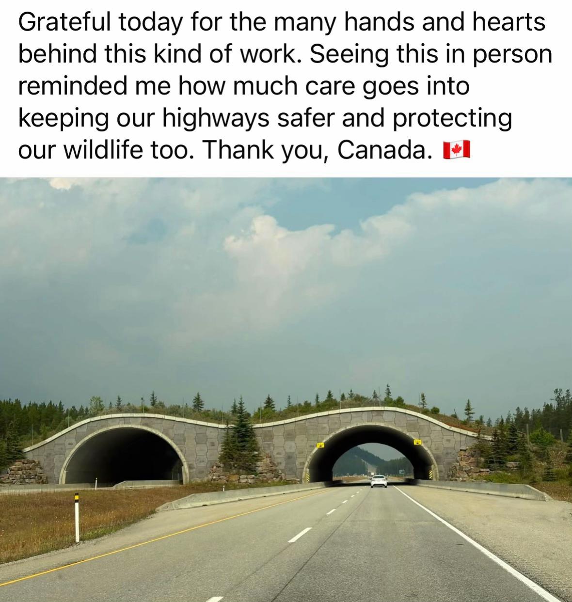 @WisdomWithMammaB