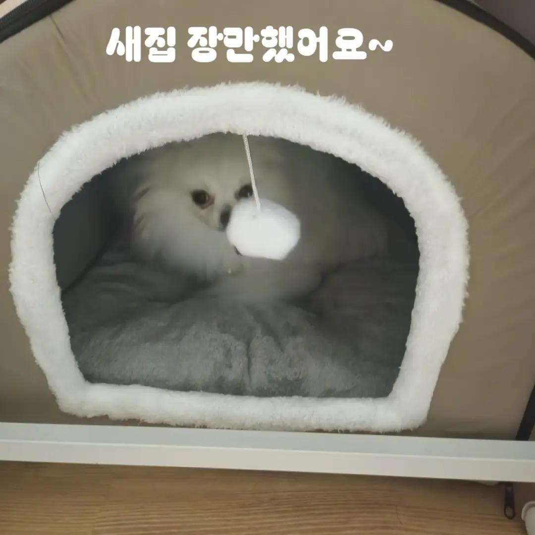 @두진이와두리 아빠
