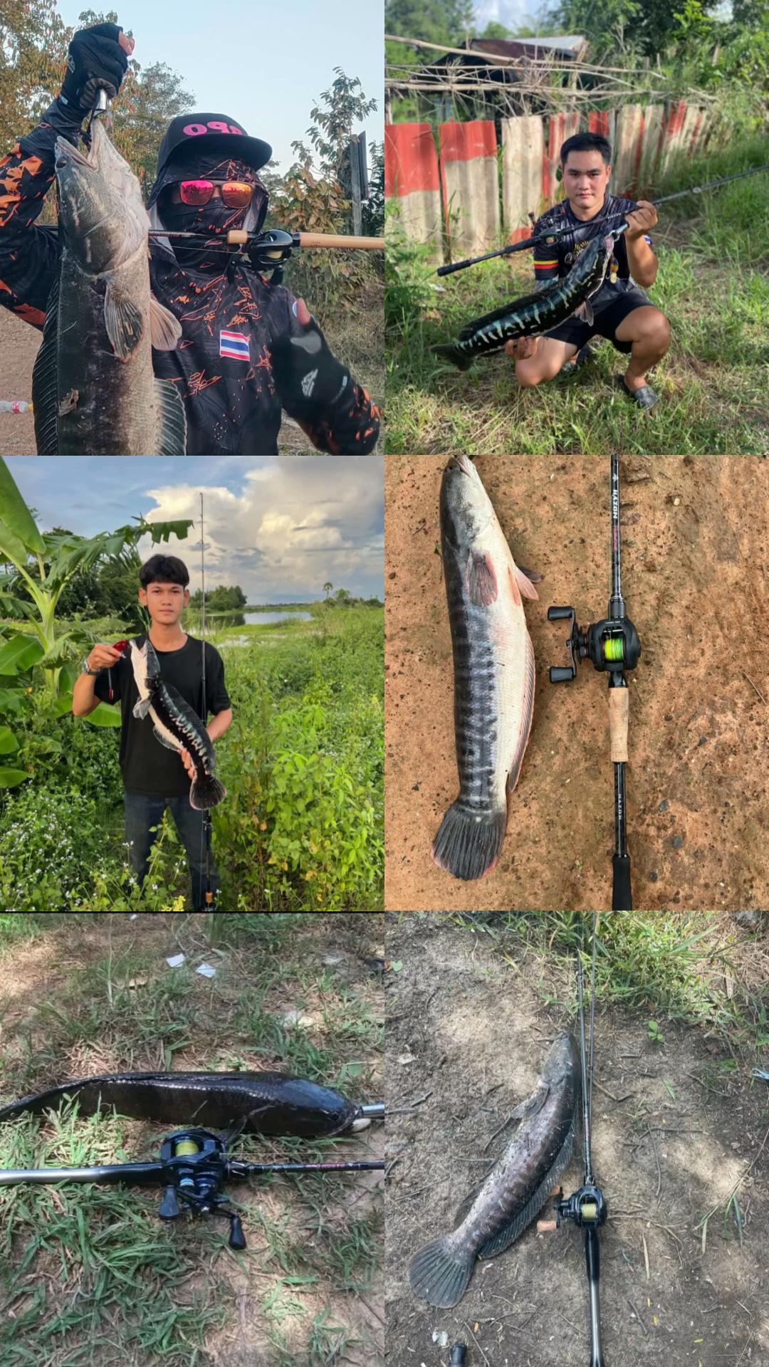 @HAZON TACKLE