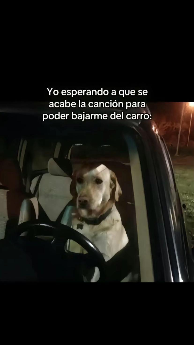 @Mauricio Sanchez