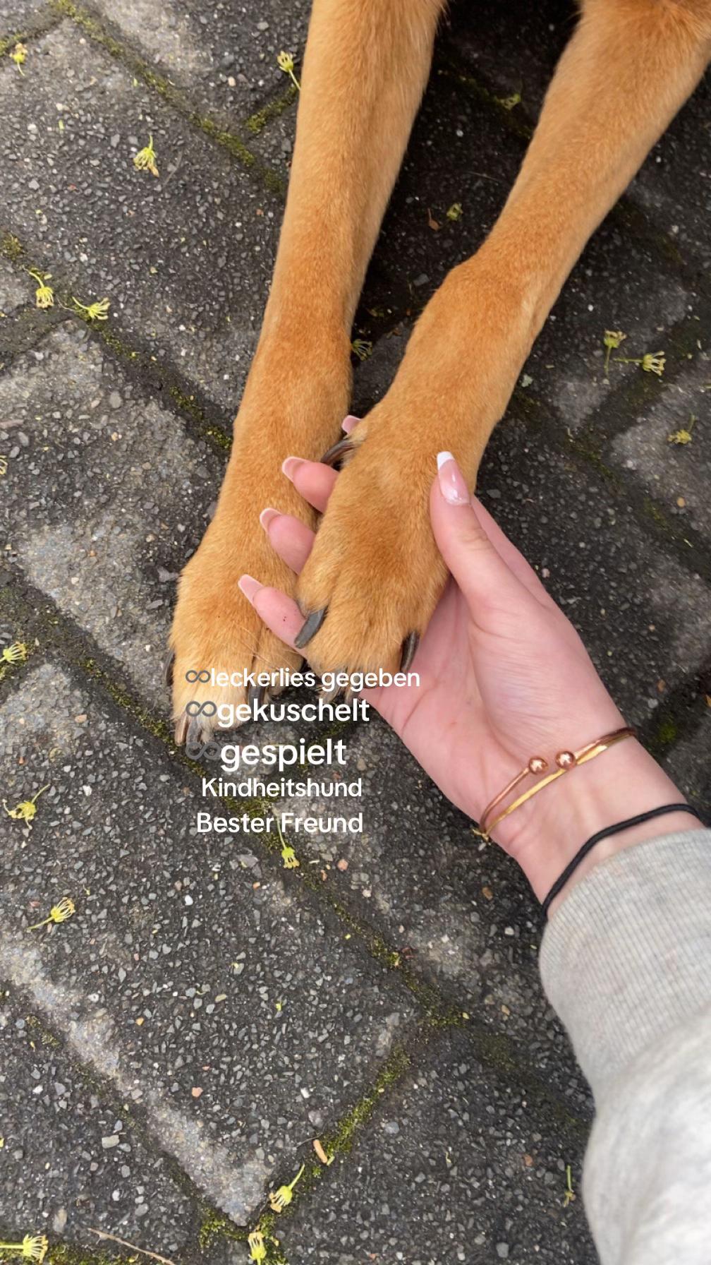 @_ 𝓢𝓮𝓵𝓲𝓷𝟕.𝟏
