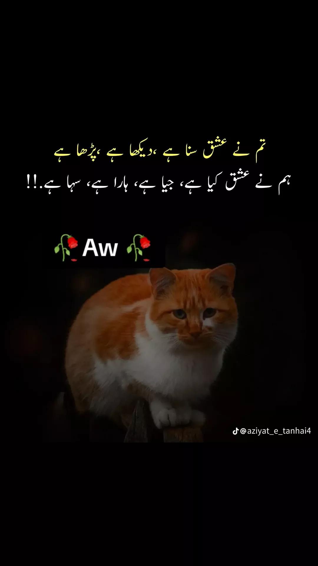 @💞It's Awan💞