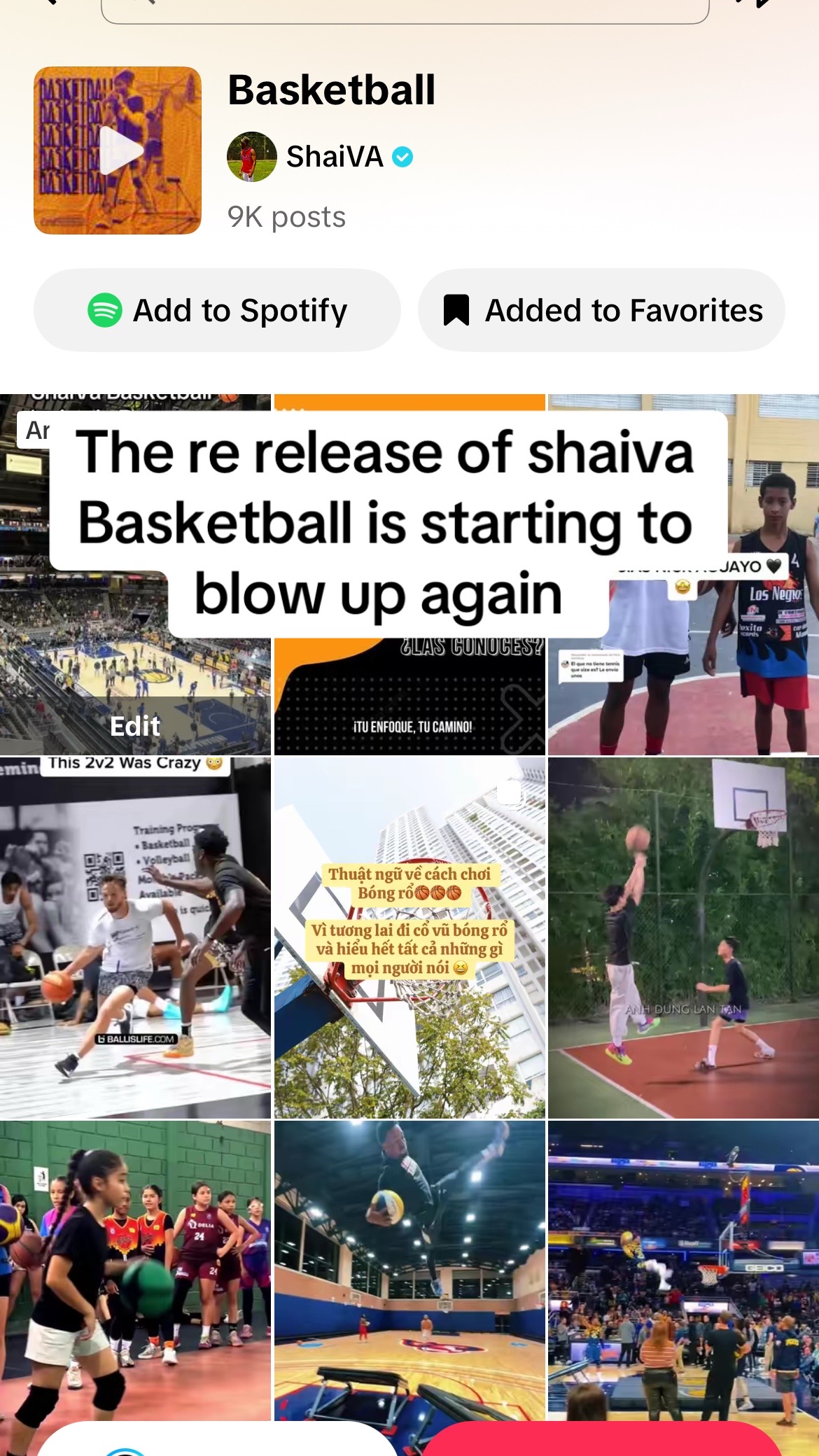 @ShaiVA
