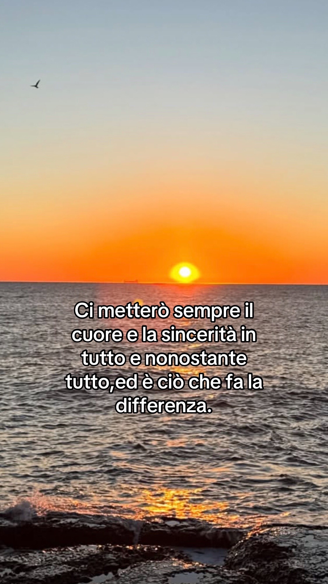 @Gioναииα🌻