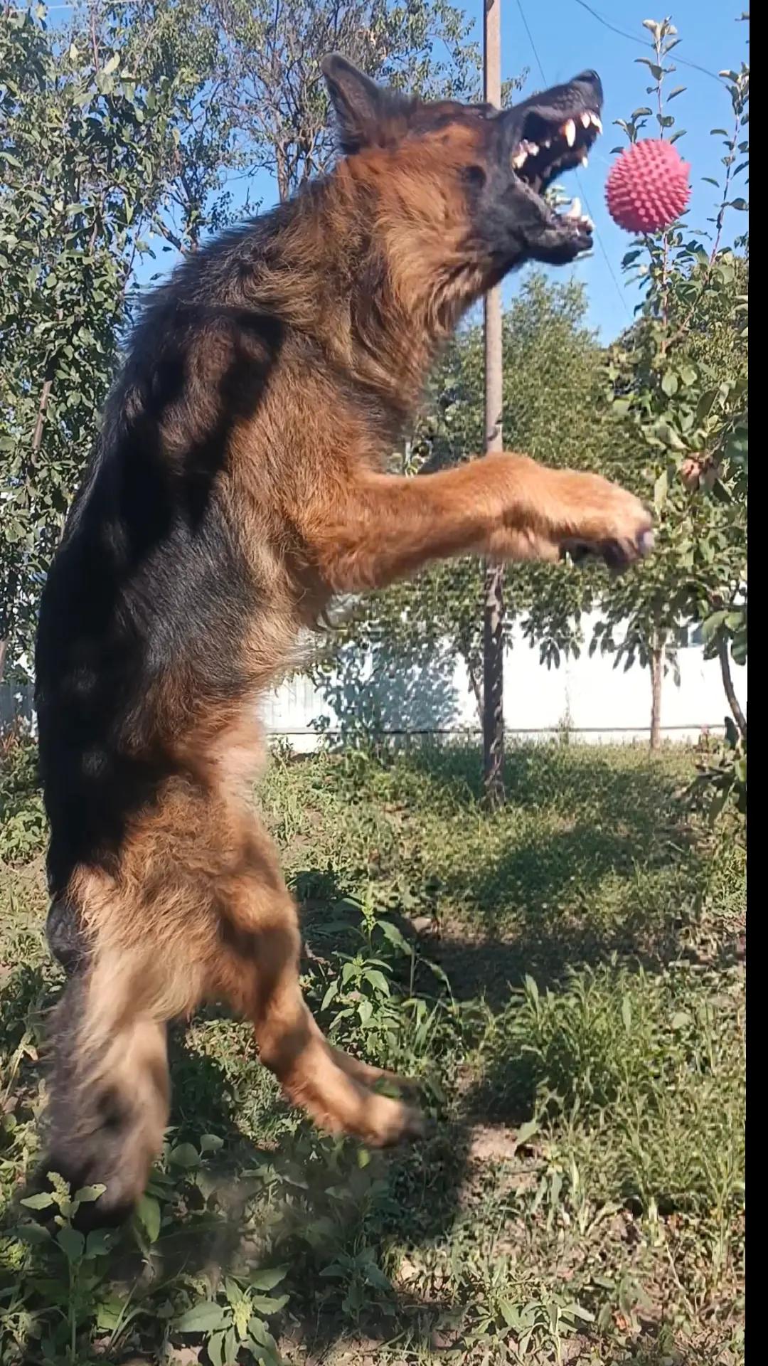 @Тату мастер Чалтырь