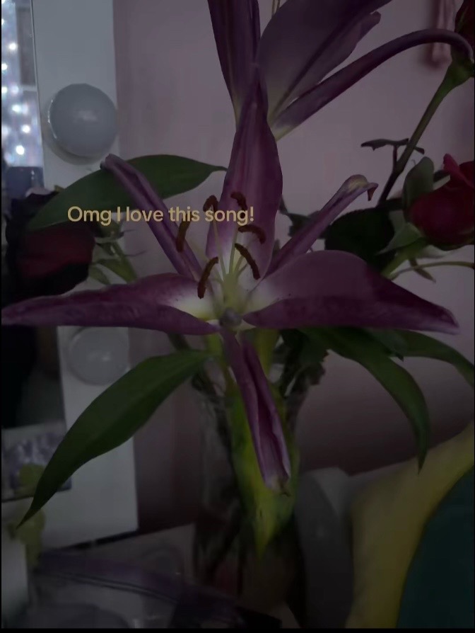 @KatelynA