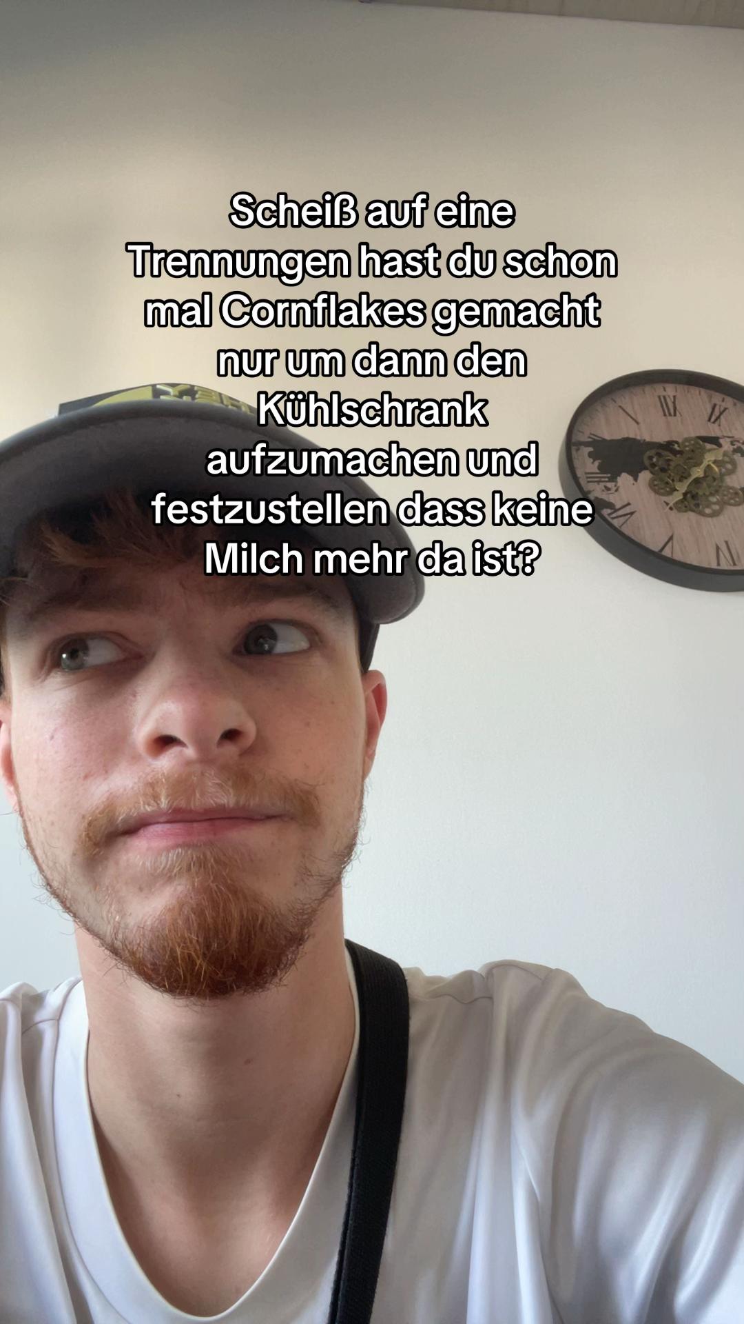 @dimi_Ginger