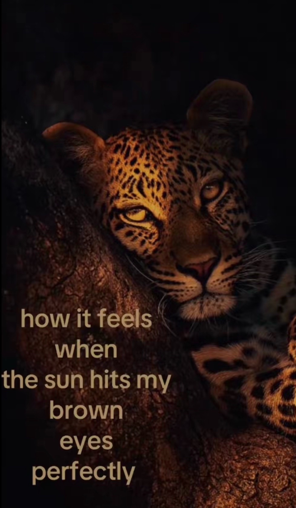 @꒰ྀི১𝓘𝓽𝔃.𝓑𝓲𝓪𝓷𝓴𝓪໒꒱ིྀ
