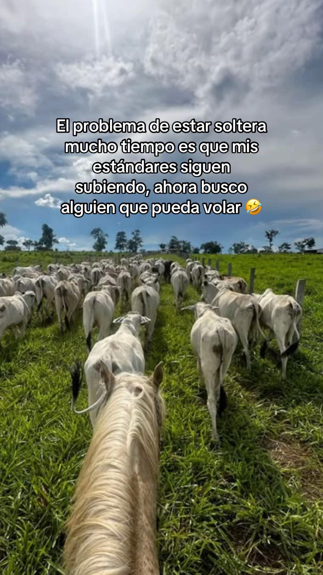 @xghslz