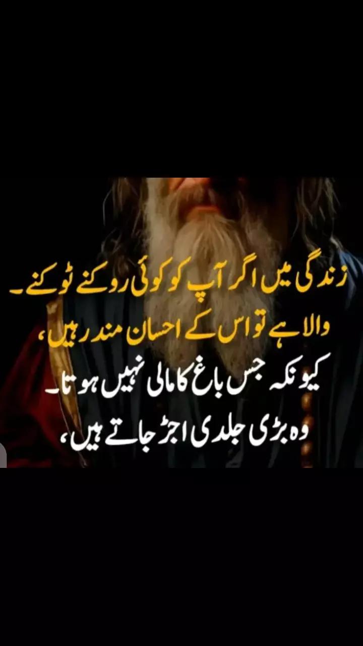 @Muhammad Saeed