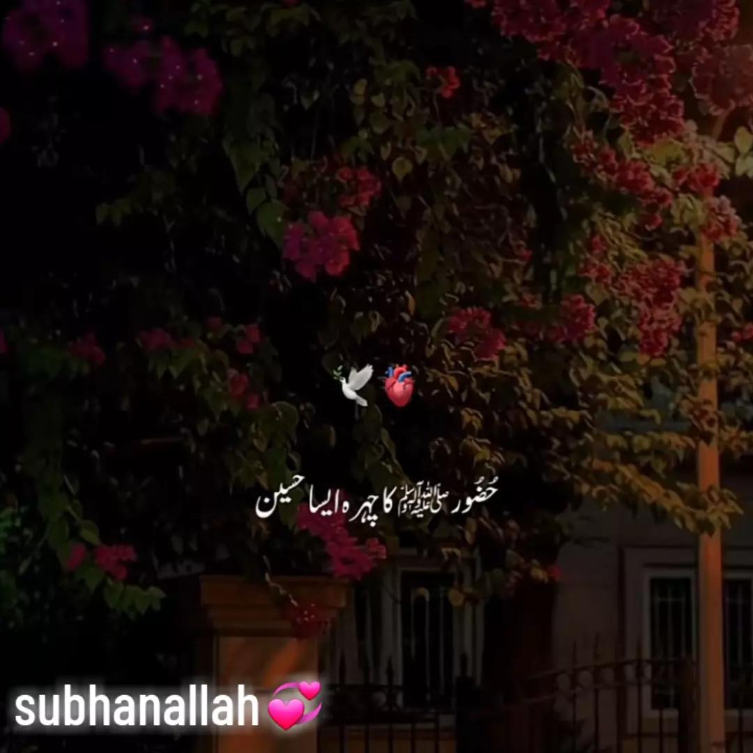@nazeernice76