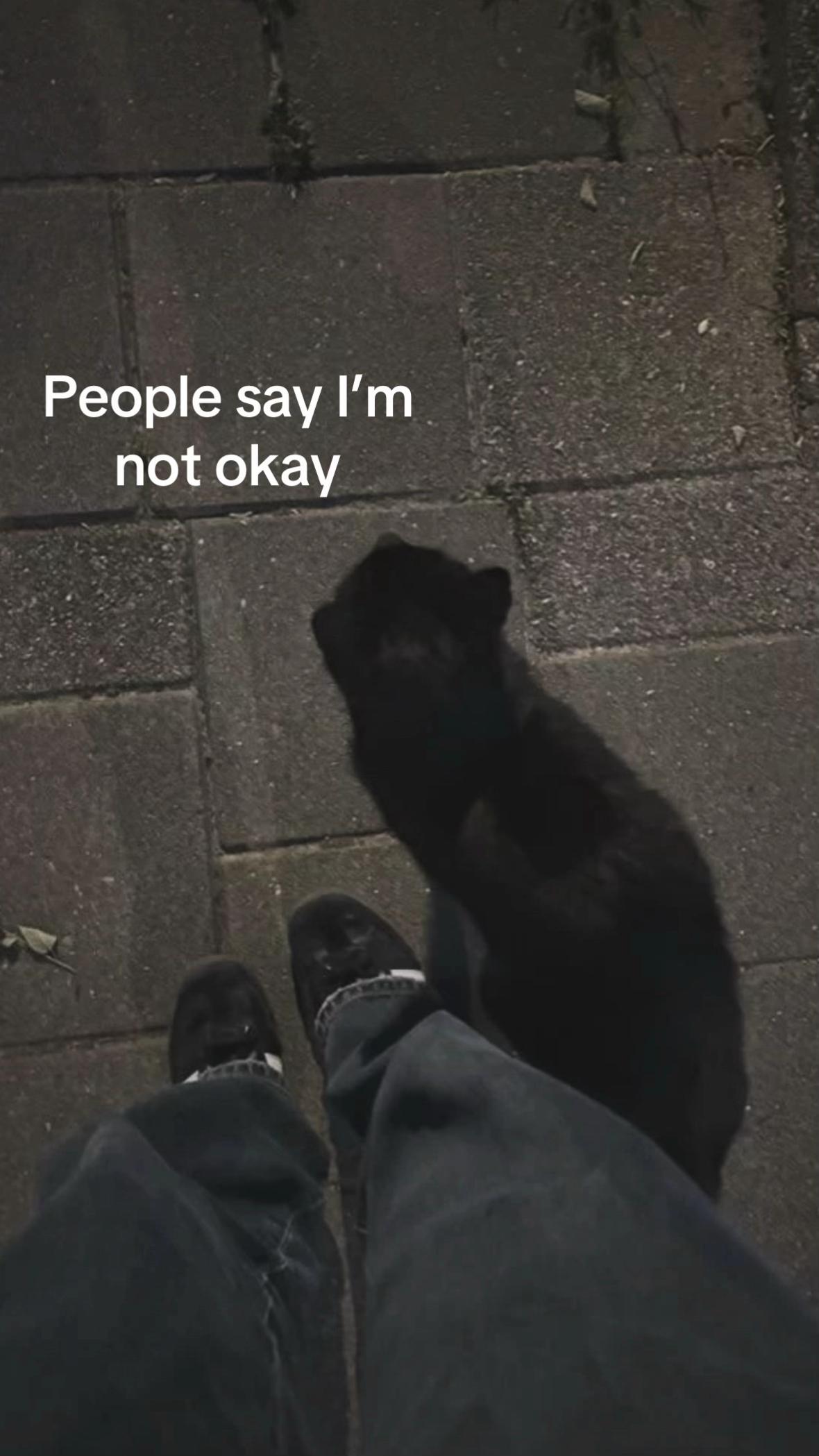 @˚₊‧ 𝐵𝑒𝒿 ⋆ ⊹₊