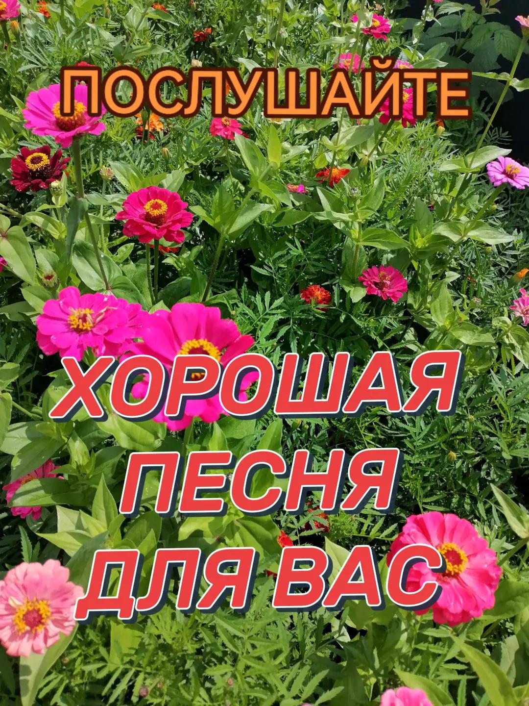 @Бусинка❤️