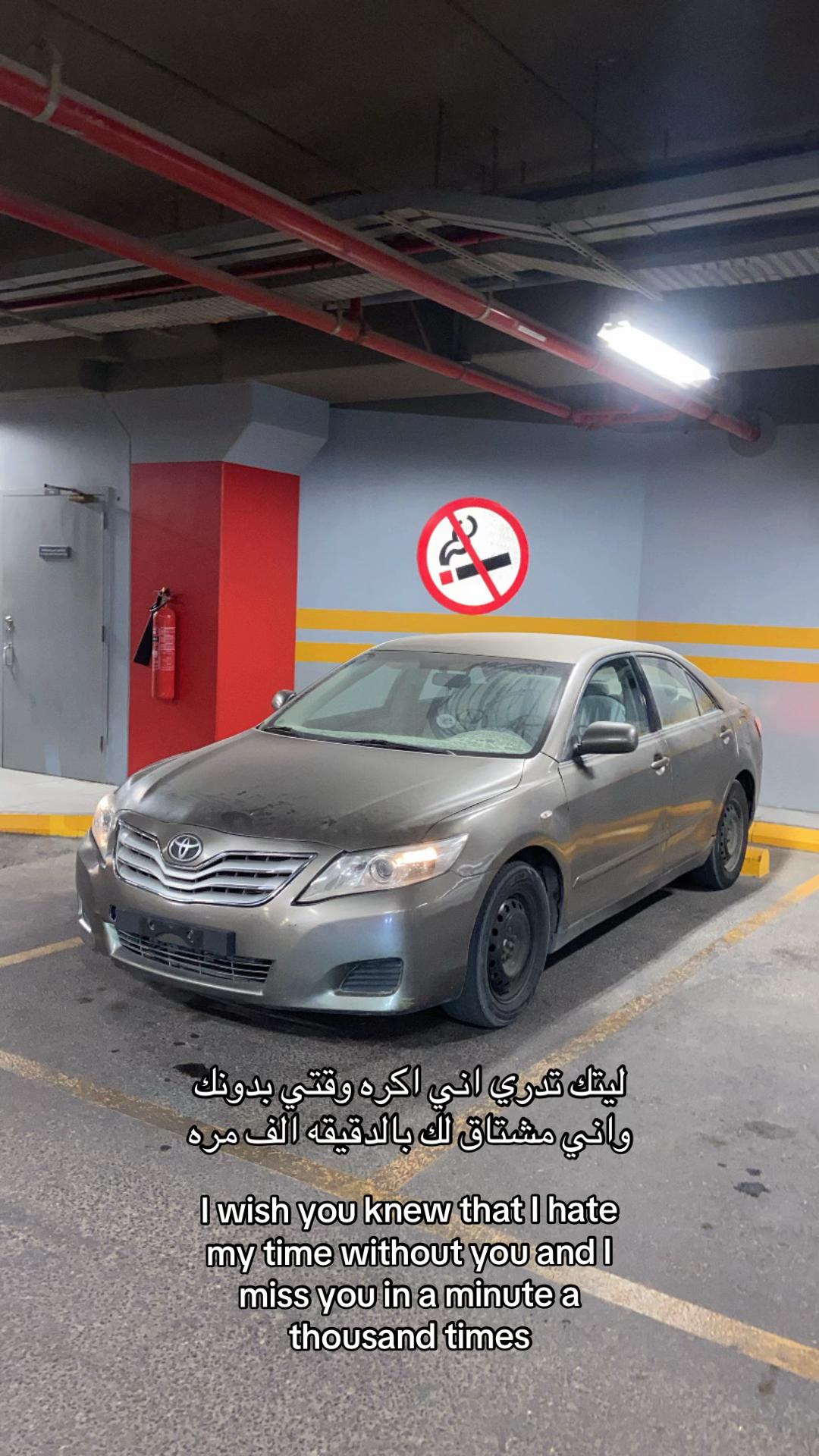 @ابـٌَو محمـٌَد، ⑩🦌👑