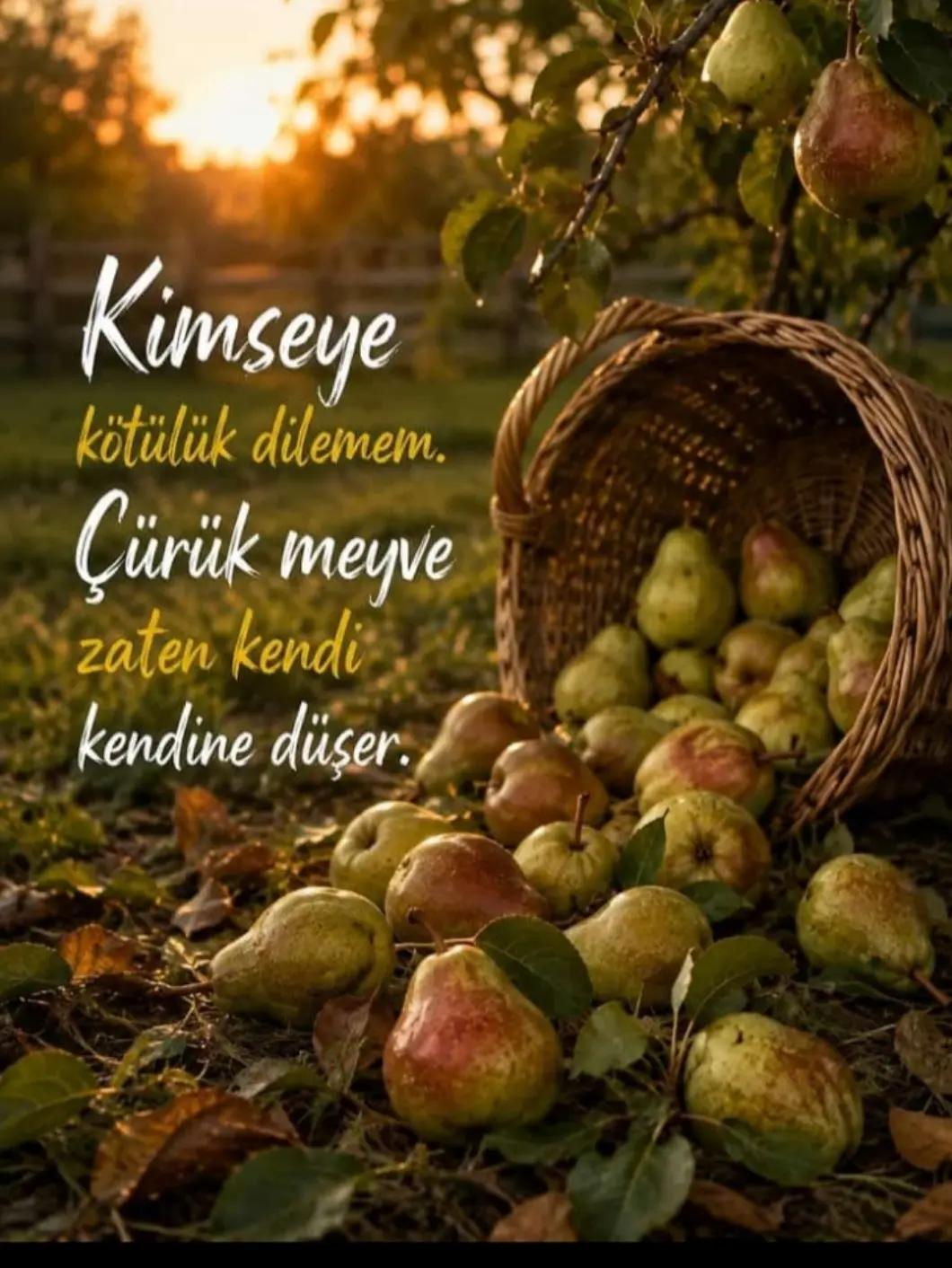 @🇹🇷🇹🇷KAMİL🇹🇷HANCI🇹🇷🇹🇷