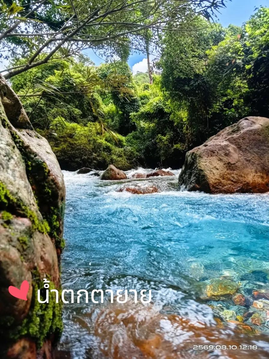 @อักษรา นาคะตะ