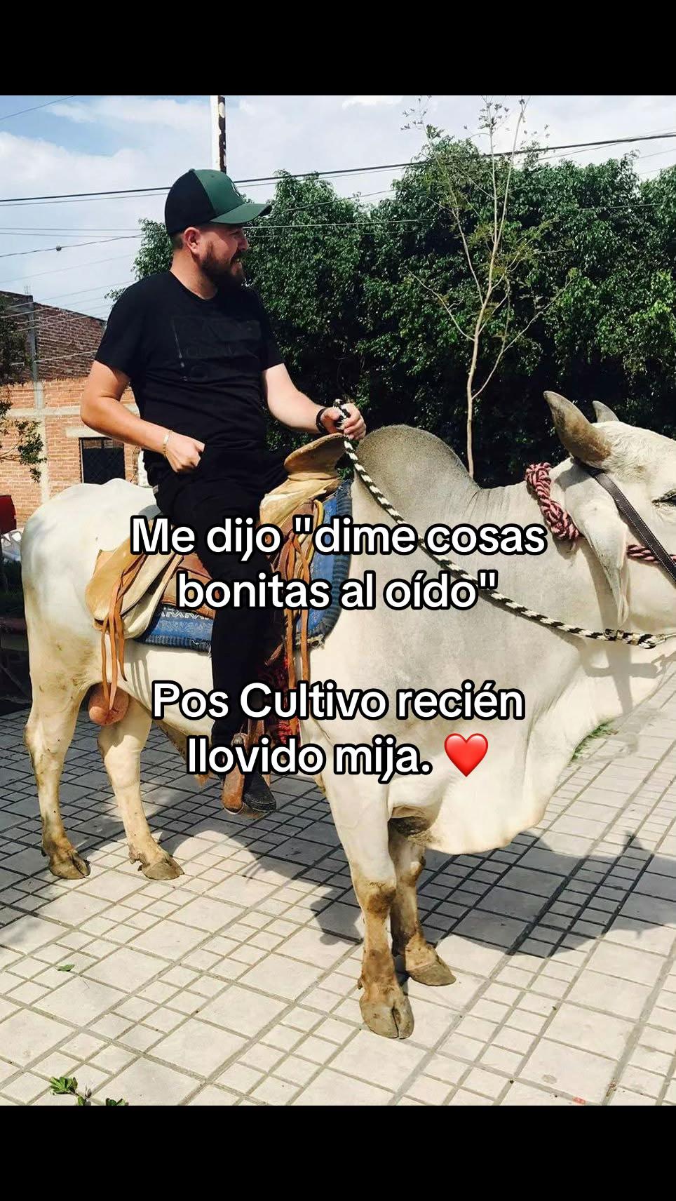 @Tips y Temas Agronomicos