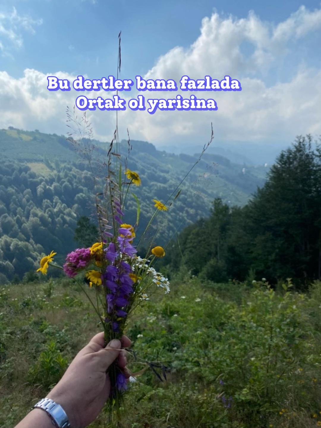 @Türkü1