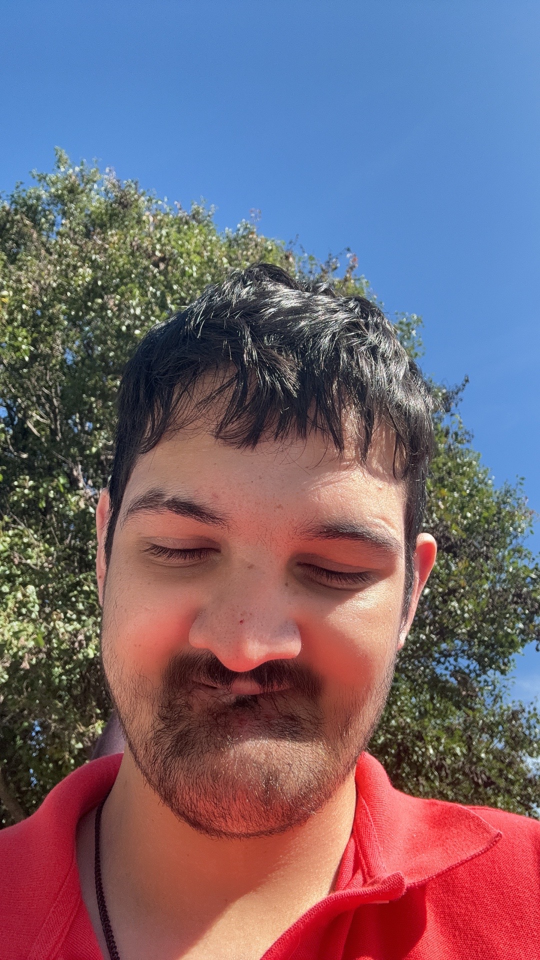 @waffles Roberto Bri  jack