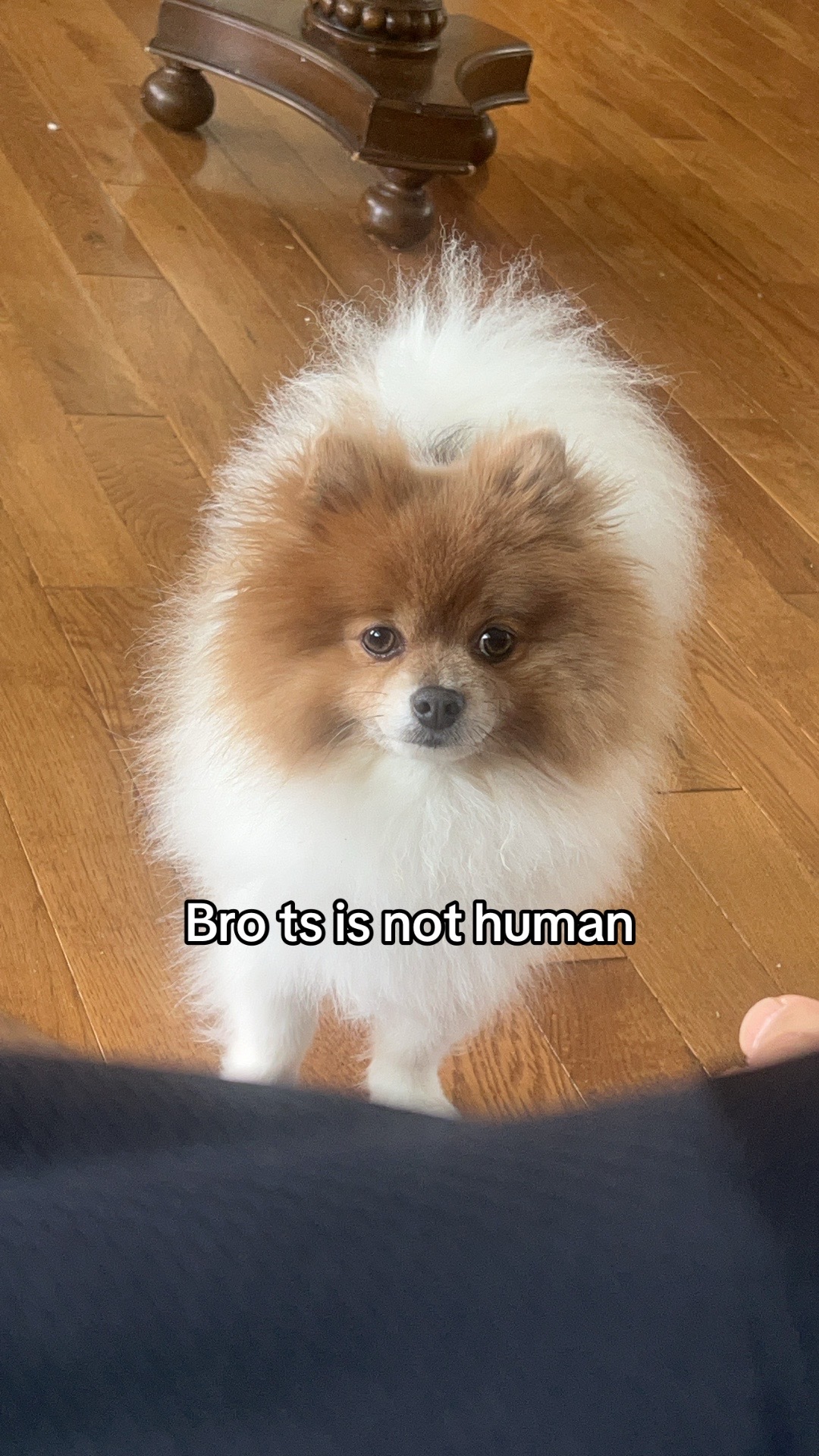 @Alex