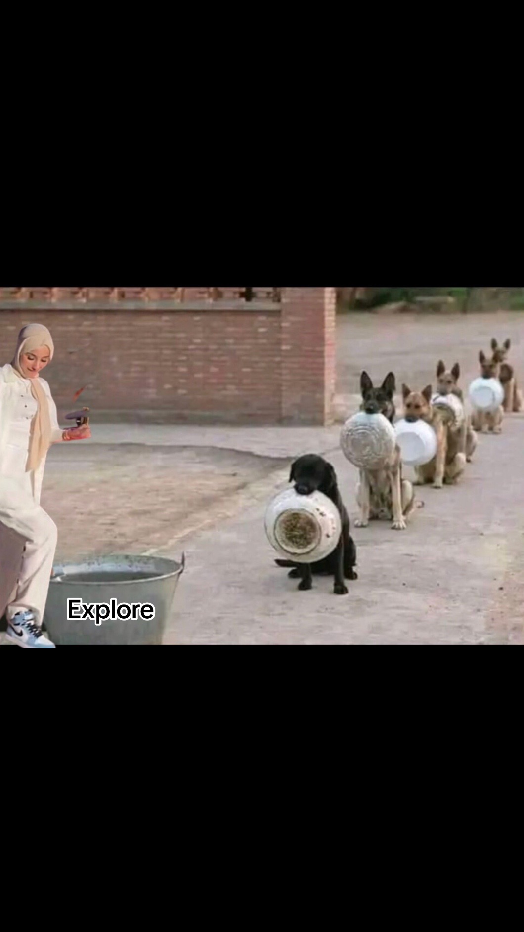 @سنمار🪑