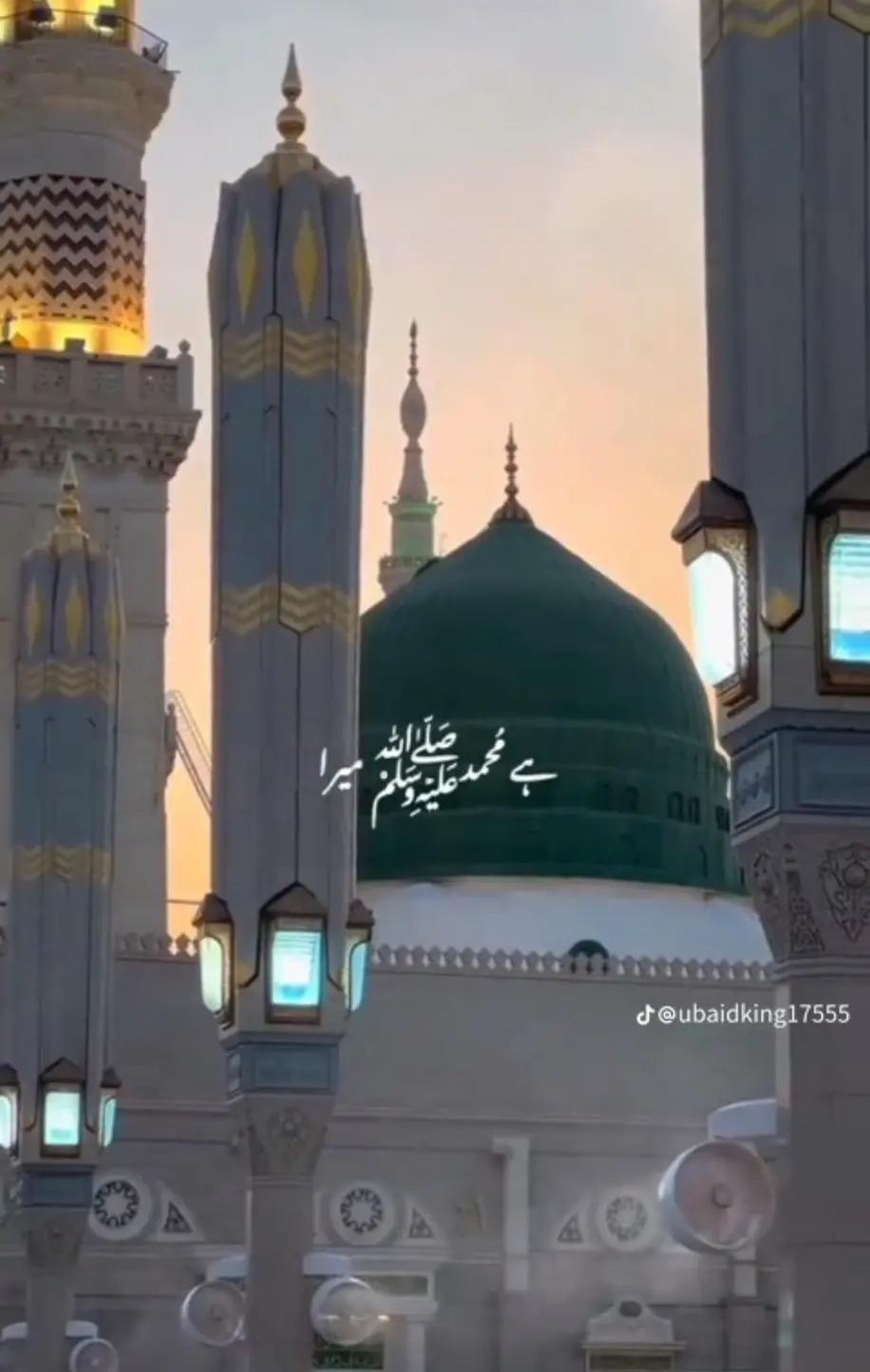 @HUMAIR. 46🐯🐯